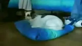 Žena skida porno sat ...