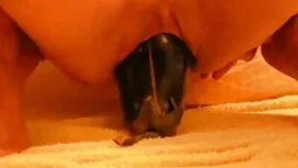 Seks party hot porno ...